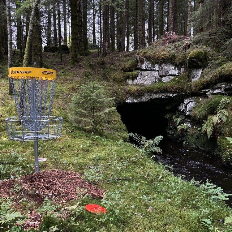 Lindås DiscGolf Park sitt profilbilde