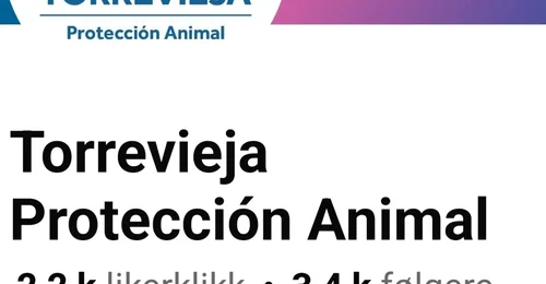 Prosjektbilde for Donasjoner til dyre shelter