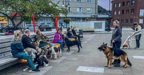 Prosjektbilde for Støtt vår dugnad
