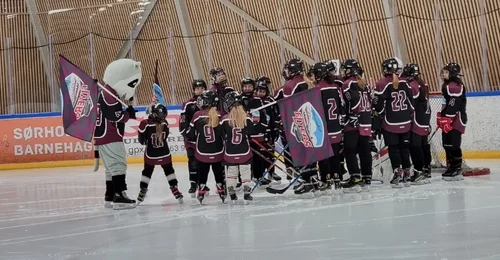 Prosjektbilde for Støtt Ullensaker Flyers JU16 - hockey for alle 🏒