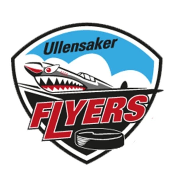 Lagledelsen JU16 Ullensaker Flyers  sitt profilbilde