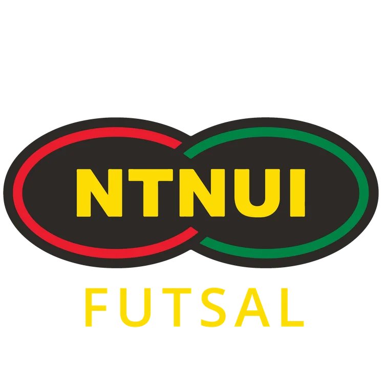 NTNUI Futsal sitt profilbilde