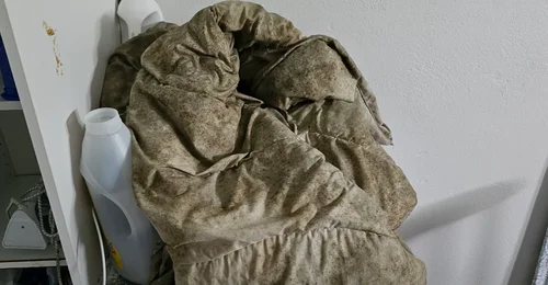Prosjektbilde for Søppeldynga