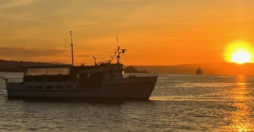 Prosjektbilde for M/S Hesko må på land