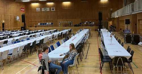 Prosjektbilde for Kaker til Festforestillingen 17 Mai 🇳🇴