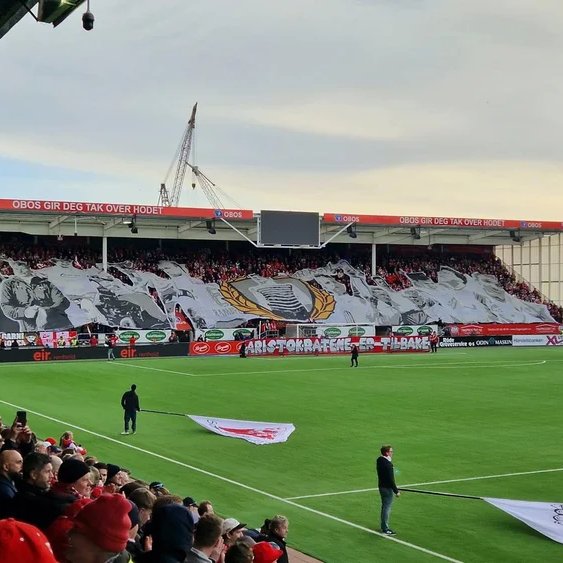Tifo Fredrikstad sitt profilbilde