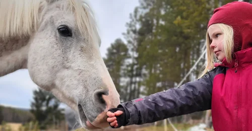 Prosjektbilde for Gratis gårdsleir for ALLE! Barn/ungdom 