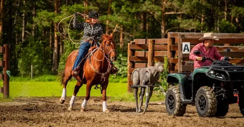 Prosjektbilde for ATV til klubben vår