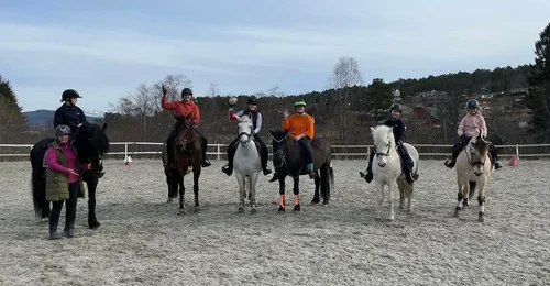 Prosjektbilde for Ny rideskolehest til Kristiansund og Frei Hestesportsklubb