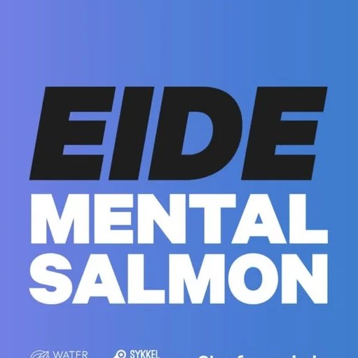 Eide Mental Salmon sitt profilbilde