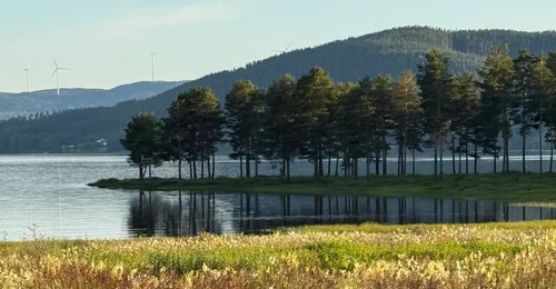 Prosjektbilde for Eventyrøya - bord, benker og utstyr
