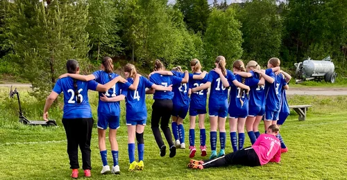 Prosjektbilde for Støtt vår dugnad