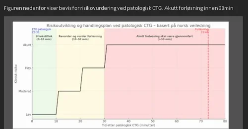 Prosjektbilde for Fødselsskade - Utgifer til advokat og spesialist erklæring