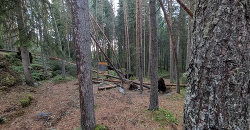 Prosjektbilde for Make Skinnarberget Discgolf safe again