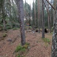 Venner av Skinnarberget Discgolfbane sitt profilbilde
