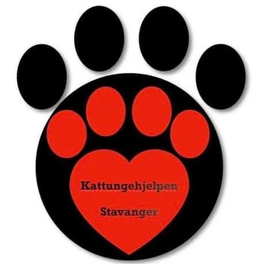 Kattungehjelpen Stavanger  sitt profilbilde
