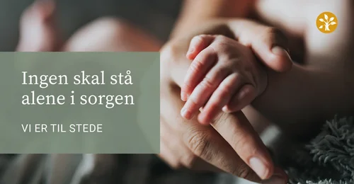 Prosjektbilde for Jan Roar Gåserud sin bursdagsspleis til LANDSFORENINGEN UVENTET BARNEDØD