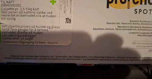 Prosjektbilde for Utgifter til dumpede katter!