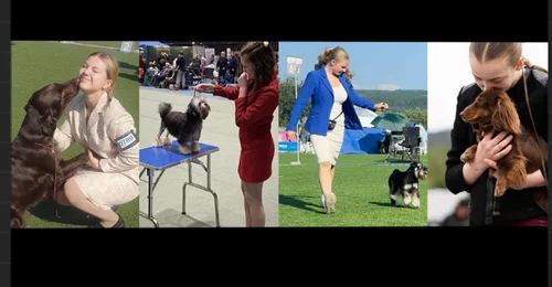 Prosjektbilde for Landslaget i juniorhandling 2025 trenger din støtte!❤️