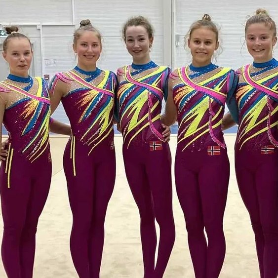 Seniortroppen i Rytmisk Gymnastikk  sitt profilbilde