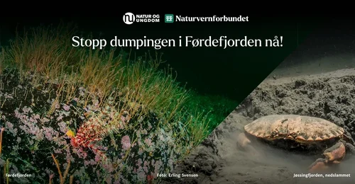 Prosjektbilde for Stopp dumpingen i Førdefjorden nå!