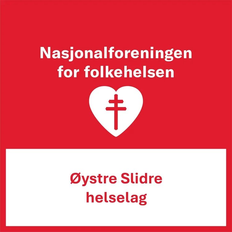 Øystre Slidre helselag sitt profilbilde