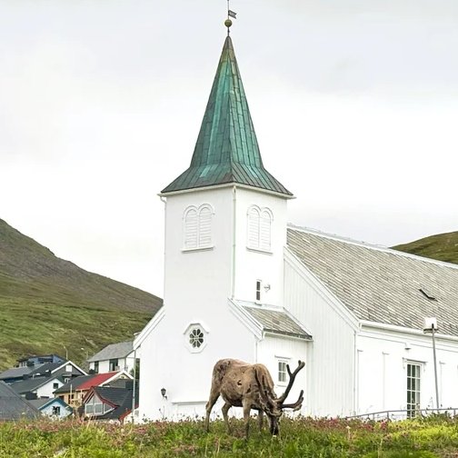 Nordkapp menighet sitt profilbilde