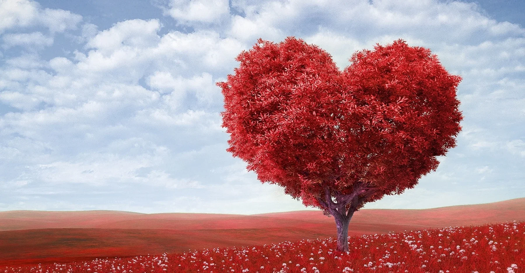 Illustrasjon for aksjonen