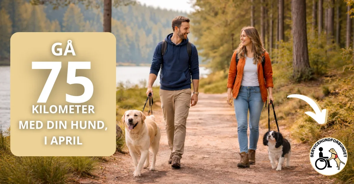 Illustrasjon for aksjonen