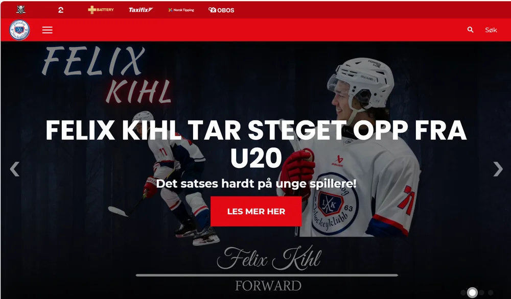 Navn på nettside