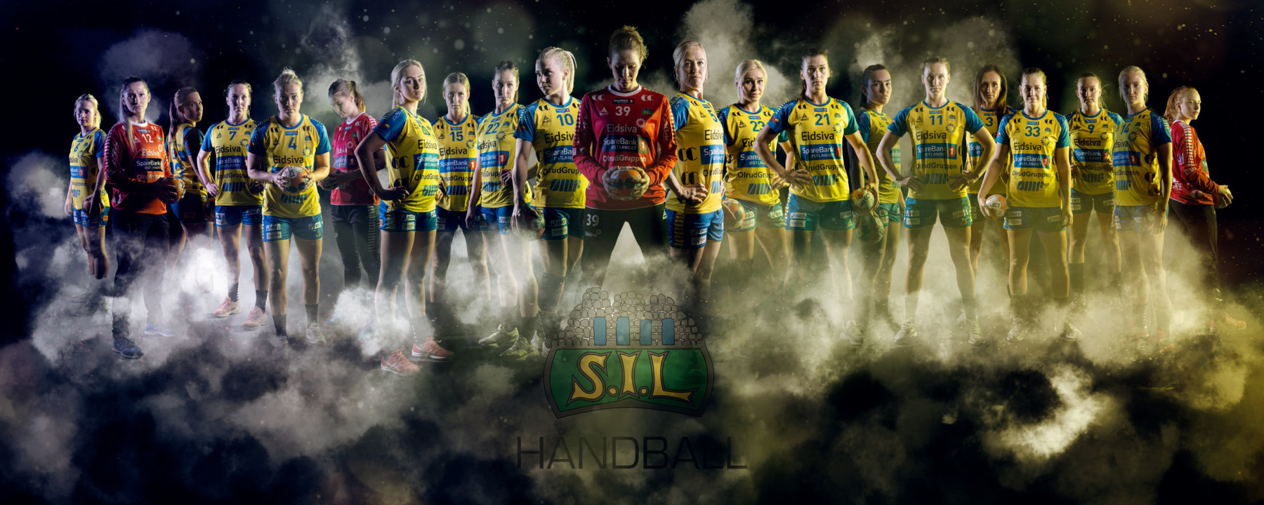 Prosjektbilde for Sportslig bidrag til Storhamar Håndball Elite