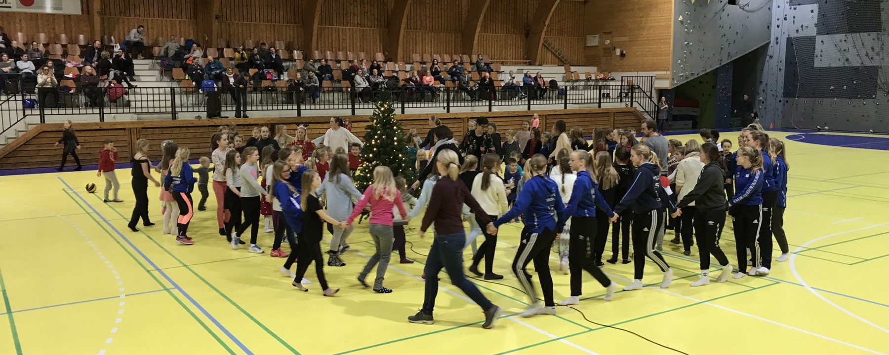 Prosjektbilde for Hjertestarter til Vang Håndball