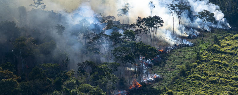 Prosjektbilde for Amazonas brenner - Bli med og støtt arbeidet til Greenpeace i Brasil