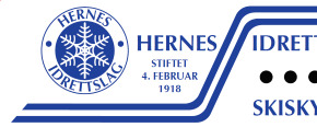 Prosjektbilde for Hjelp Hernes IL skiskyttergruppe  med innkjøp av utleievåpen 