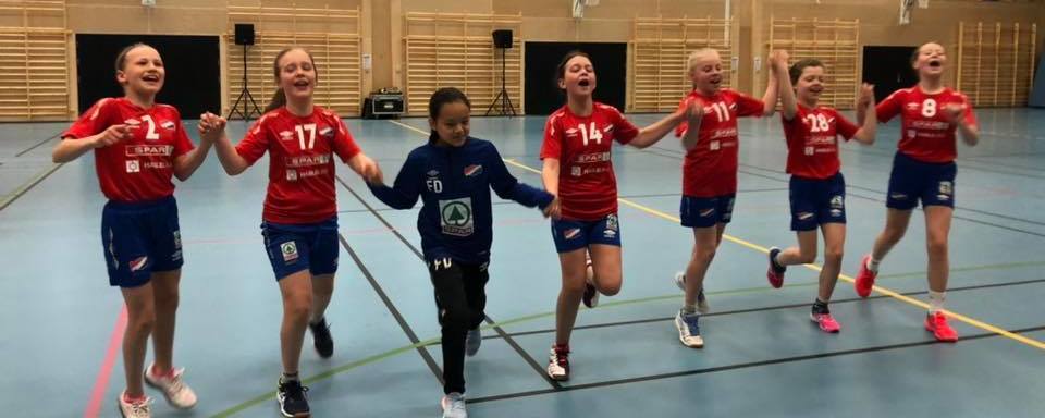 Prosjektbilde for Hasle-Løren Håndball