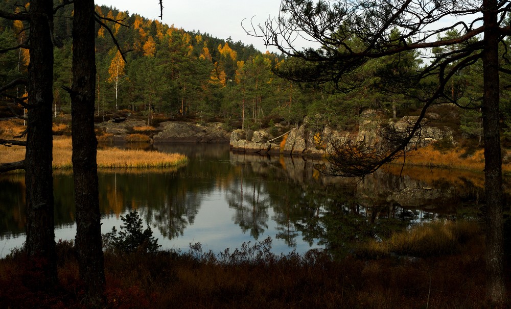 Bilde av belønningen