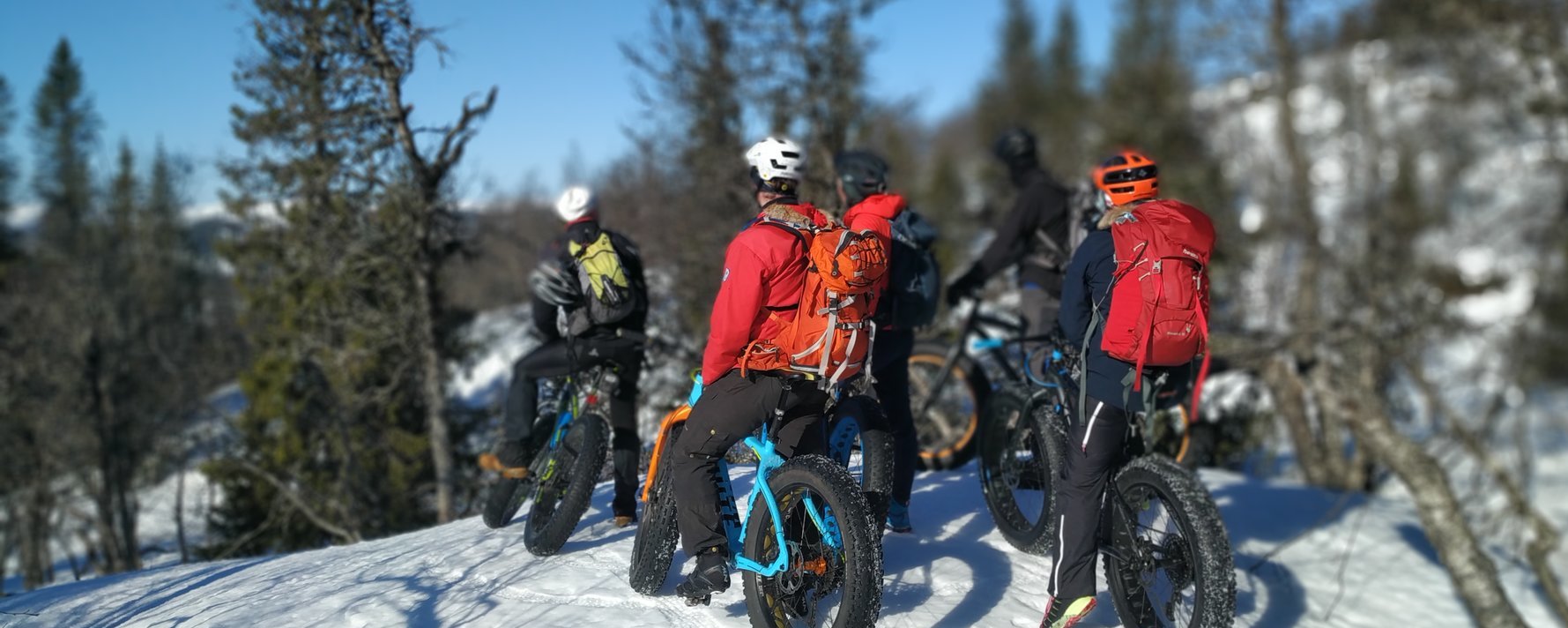 Prosjektbilde for Øyfjell Fatbikeløyper