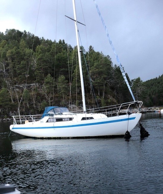 Bilde av belønningen